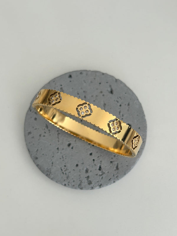 Brishti